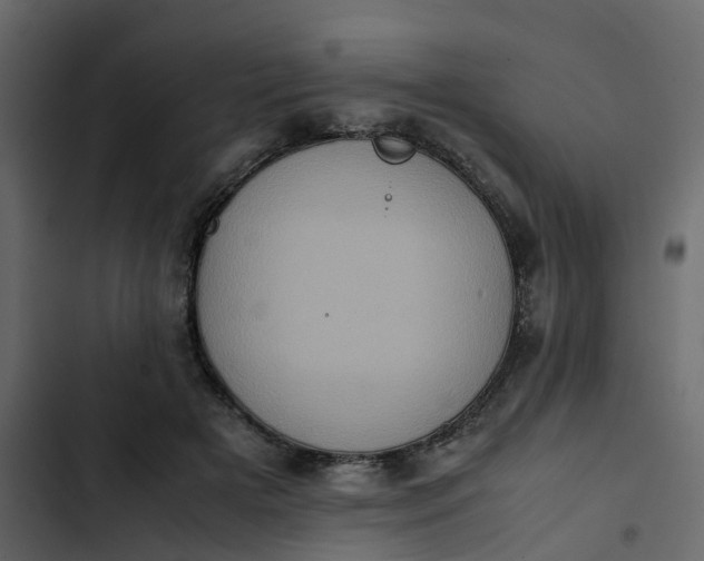 X0000102860505200809021427