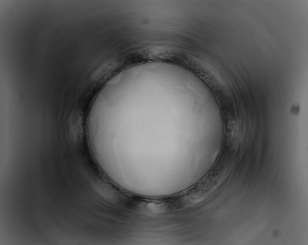 X0000102860506200809021427