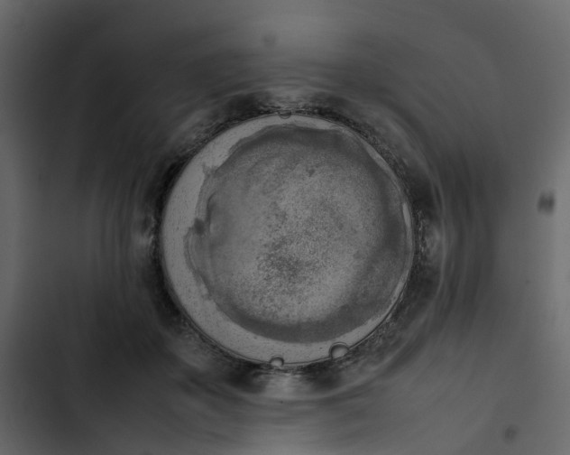 X0000102860507200809021427