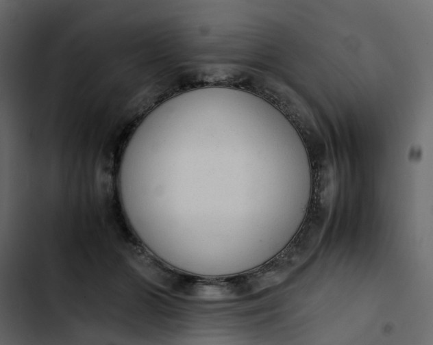 X0000102860510200809021427