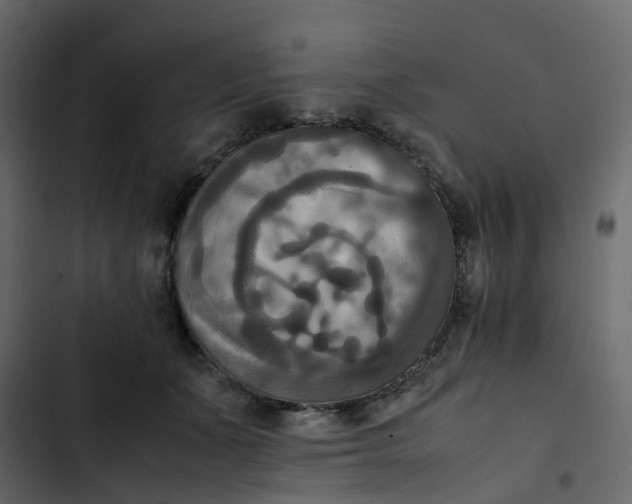 X0000102860511200809021427