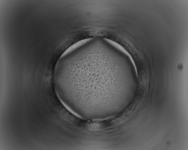 X0000102860513200809021427