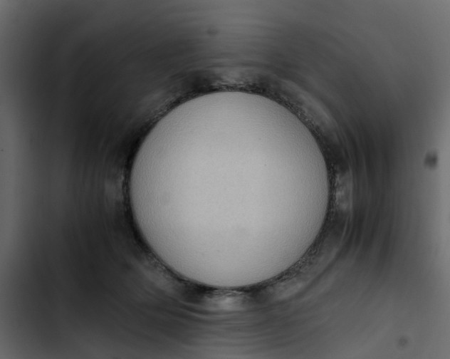 X0000102860514200809021427