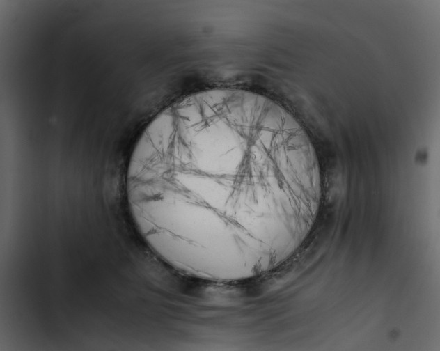 X0000102860515200809021427