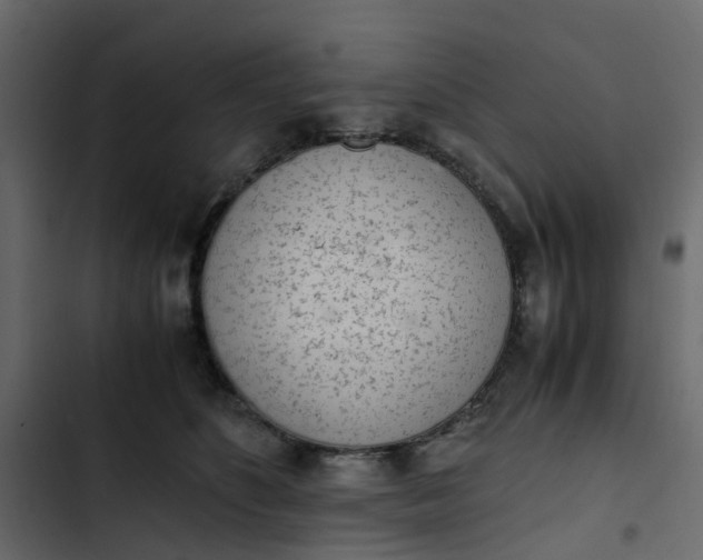 X0000102860516200809021427