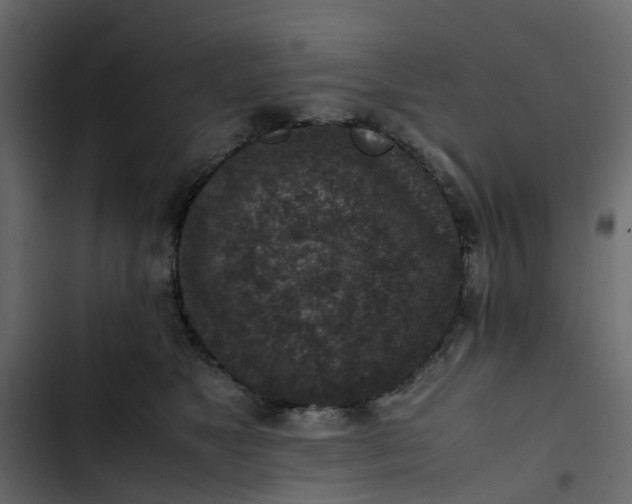 X0000102860517200809021427