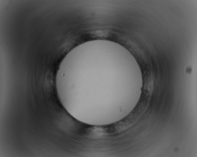 X0000102860518200809021427