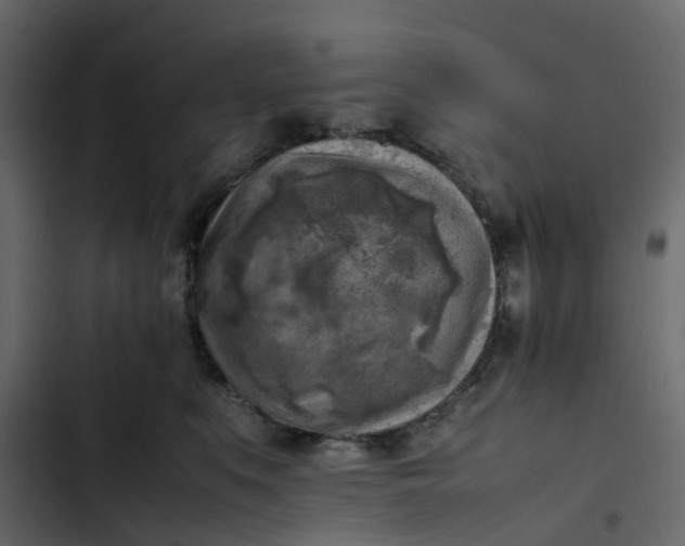 X0000102860519200809021427