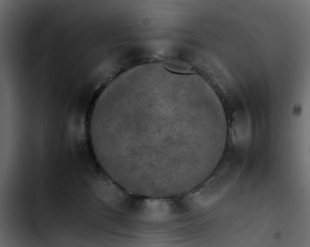 X0000102860520200809021427