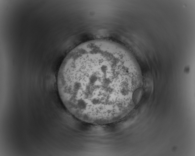 X0000102860523200809021427