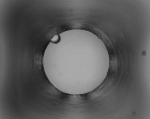 X0000102860525200809021427