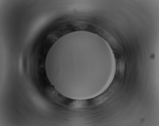 X0000102860526200809021427