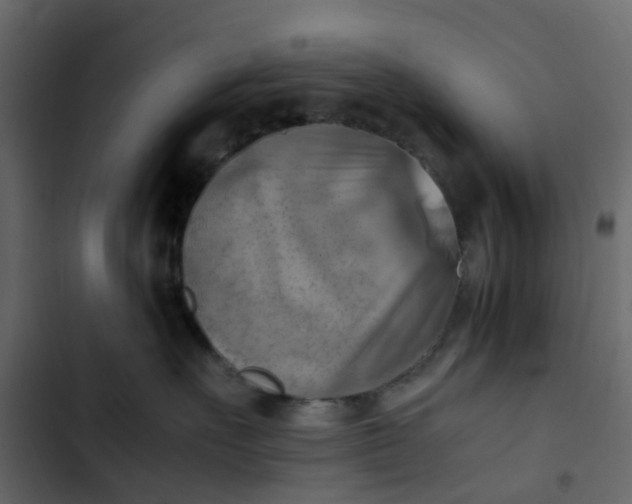 X0000102860527200809021427