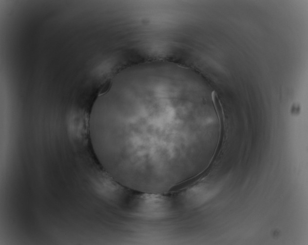 X0000102860528200809021427