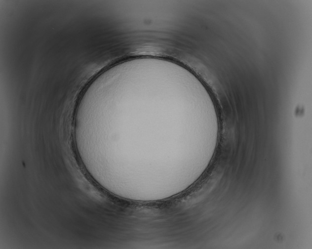 X0000102860529200809021426