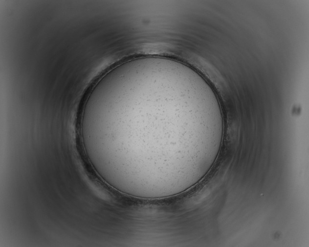 X0000102860530200809021426