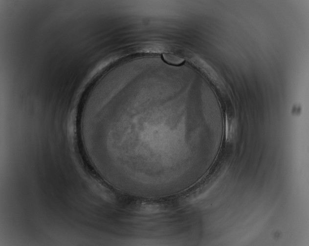 X0000102860531200809021426