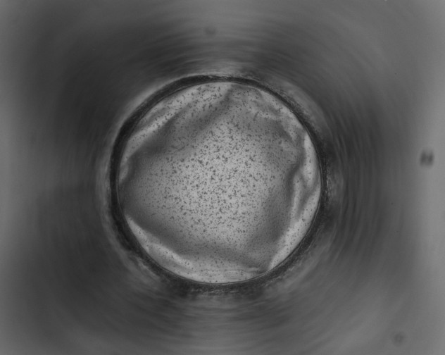 X0000102860532200809021426