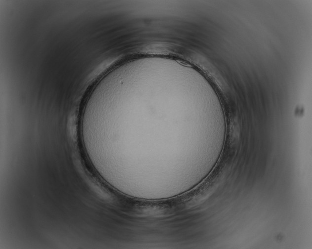 X0000102860533200809021426