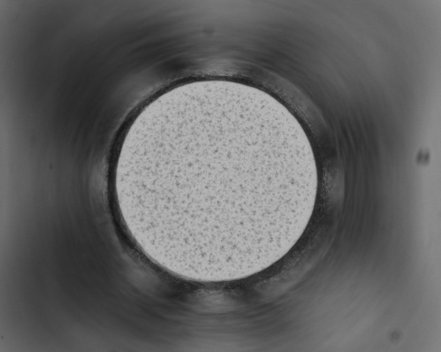 X0000102860534200809021426