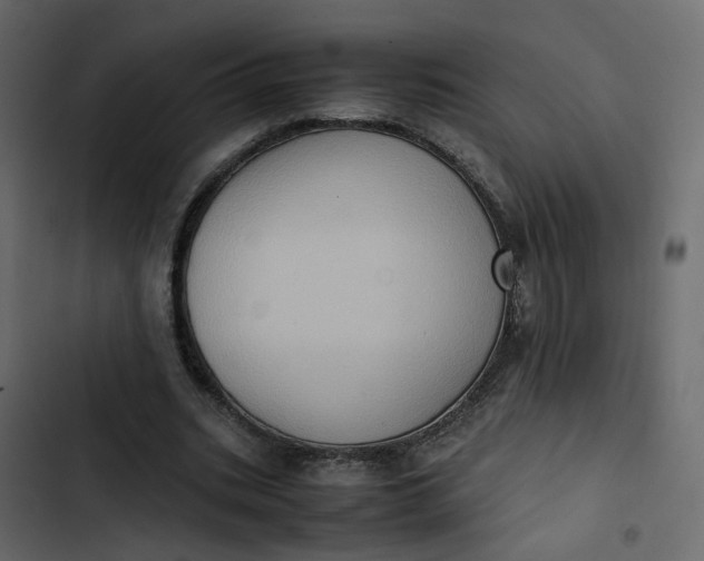 X0000102860535200809021426