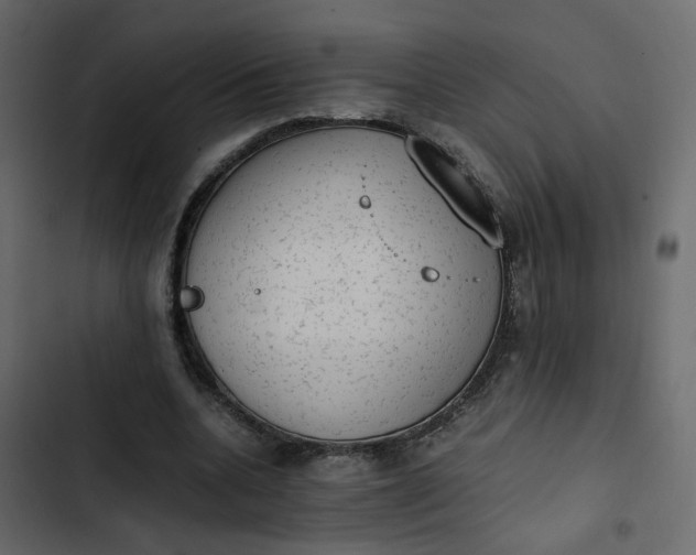 X0000102860536200809021426