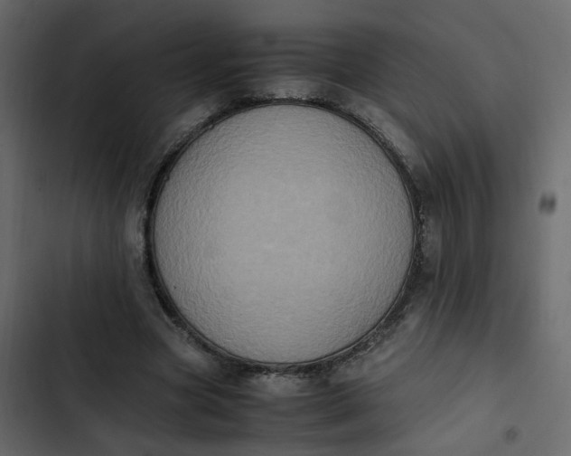 X0000102860537200809021426