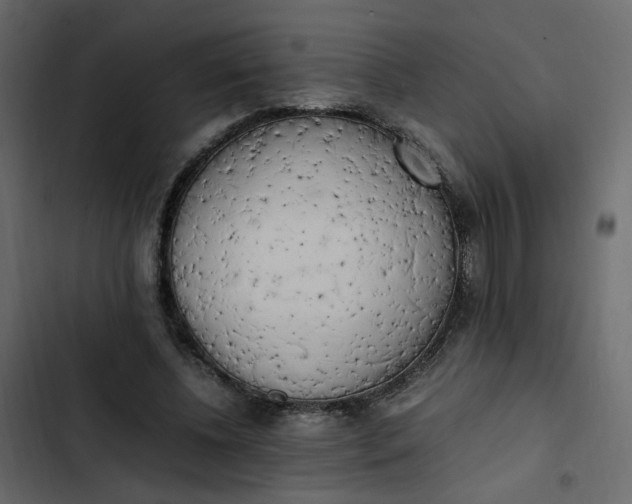 X0000102860540200809021426