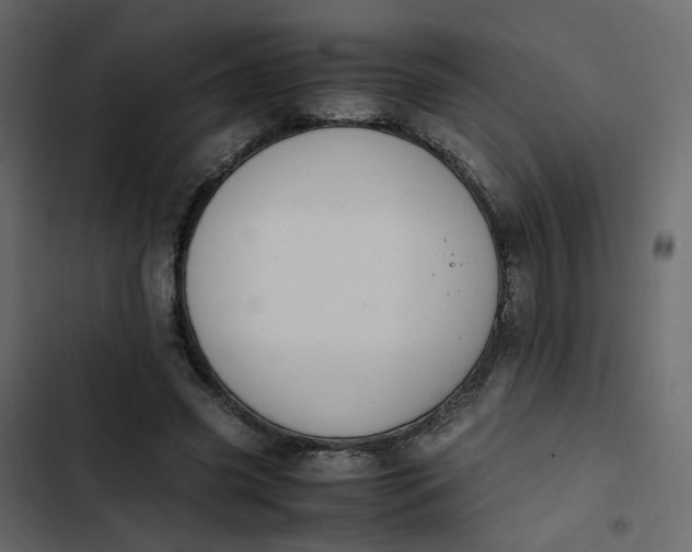 X0000102860541200809021426