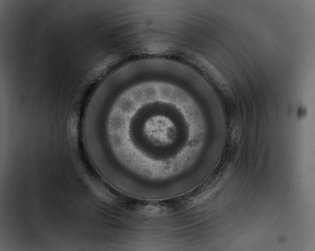 X0000102860542200809021426