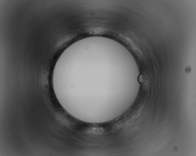 X0000102860543200809021426