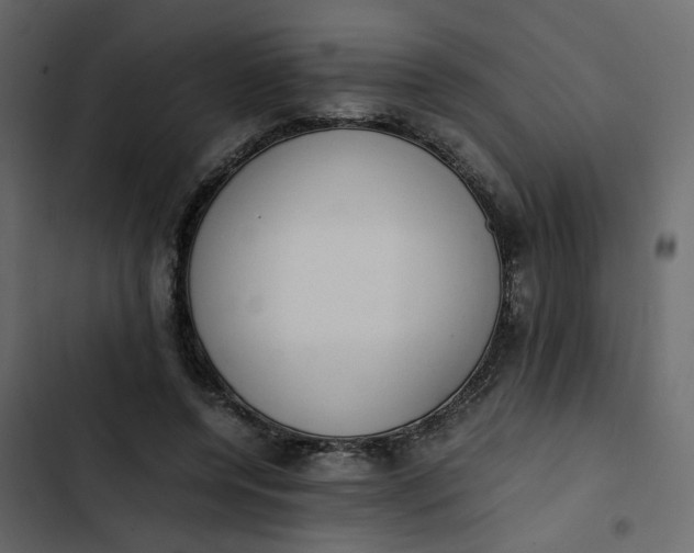 X0000102860544200809021426