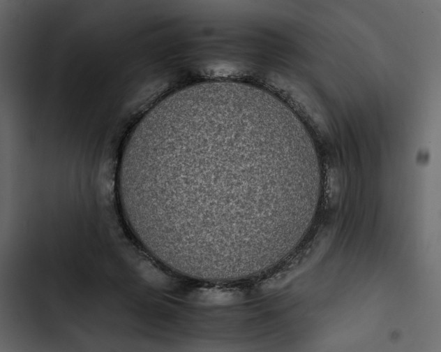 X0000102860545200809021426