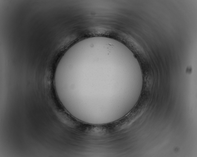 X0000102860546200809021426