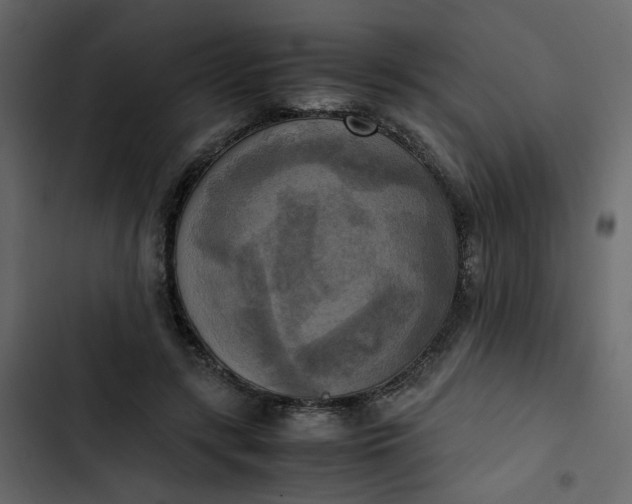 X0000102860547200809021426