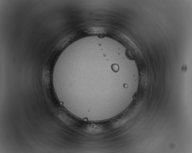 X0000102860549200809021426