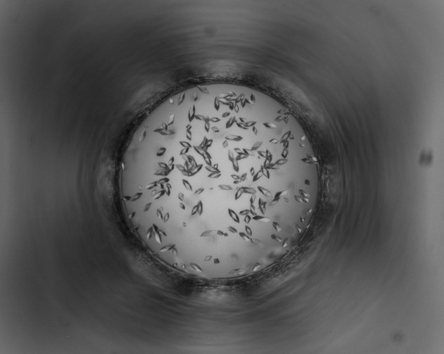 X0000102860550200809021426