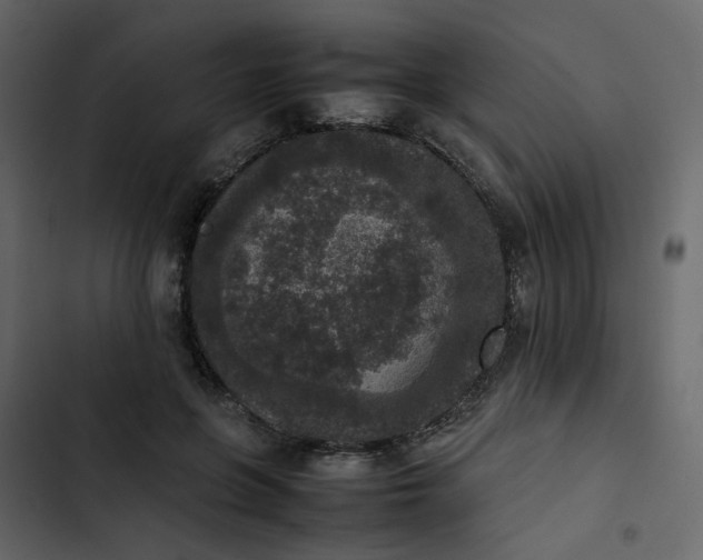 X0000102860551200809021426