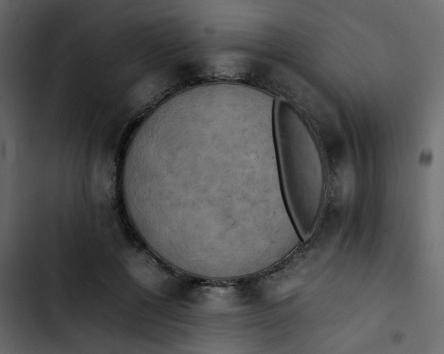 X0000102860552200809021427