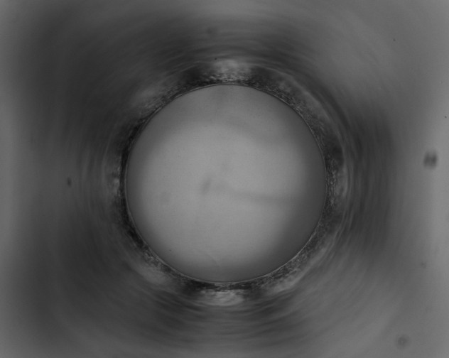 X0000102860553200809021427