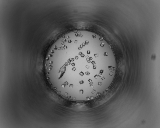 X0000102860554200809021427