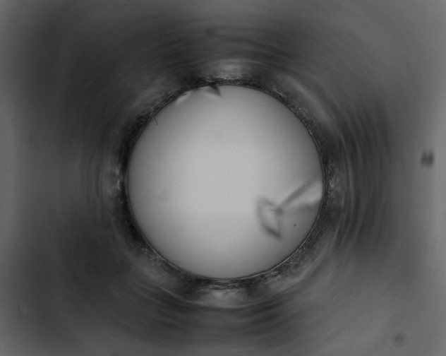 X0000102860555200809021427