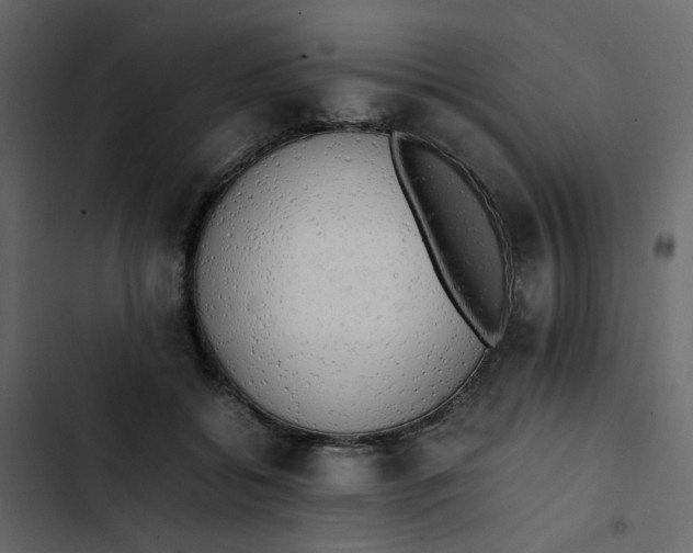 X0000102860556200809021427