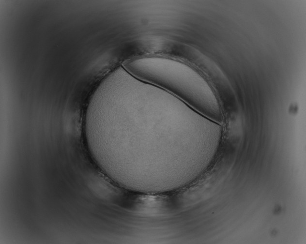 X0000102860558200809021427