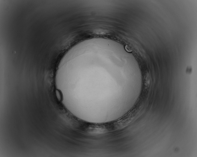 X0000102860559200809021427