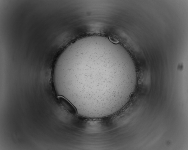 X0000102860560200809021427