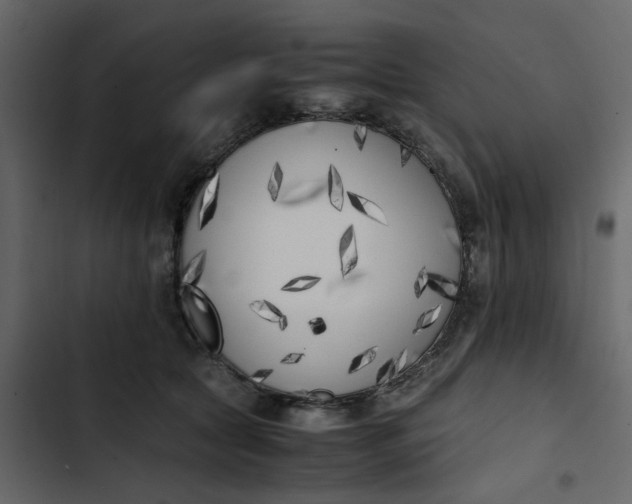 X0000102860561200809021427