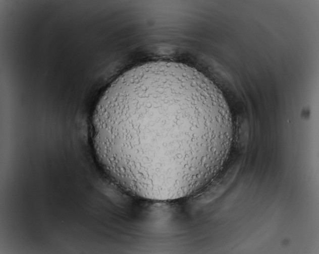 X0000102860562200809021427