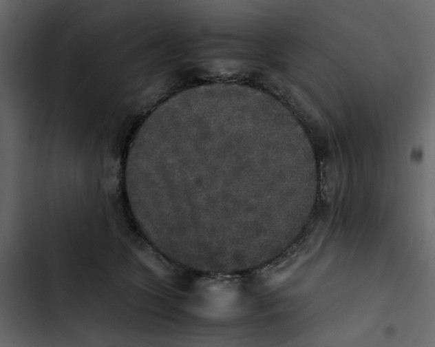 X0000102860563200809021427