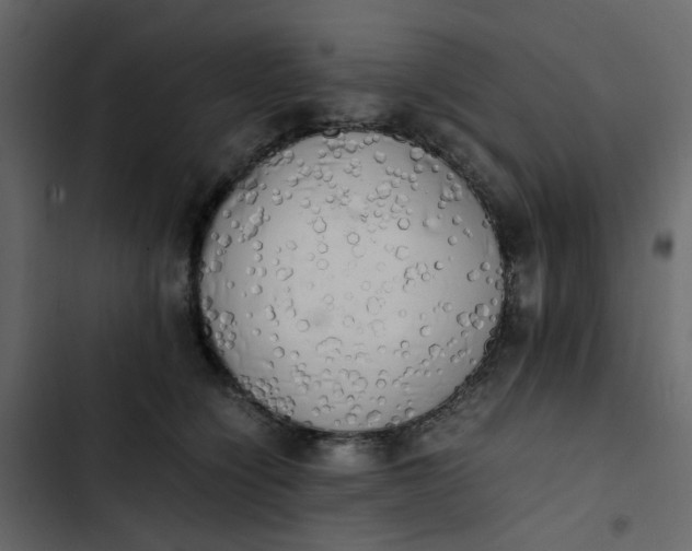 X0000102860564200809021427